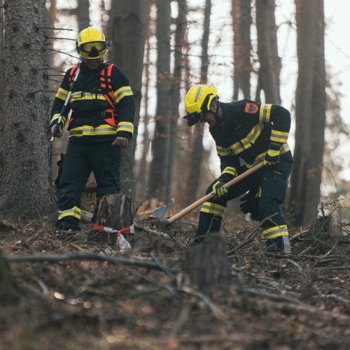 Zugsübung Waldbrand in Walpersbach